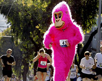 2009 Bay to Breakers