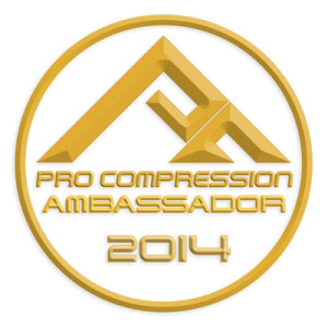 PROC-ambassador-2014