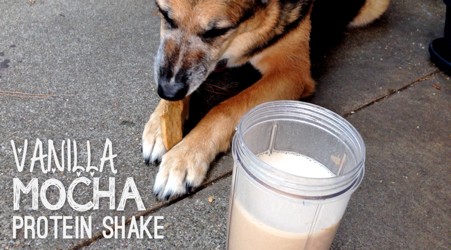 Vanilla Mocha Protein Shake